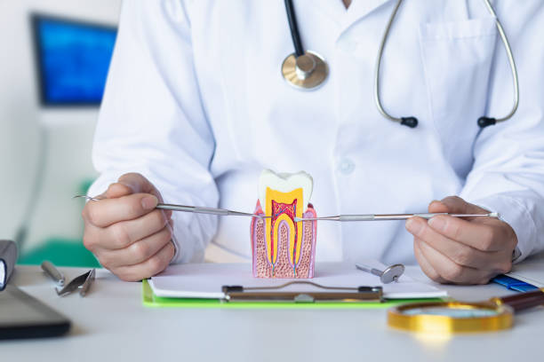 Best Pediatric Emergency Dentist in Hanna City, IL
